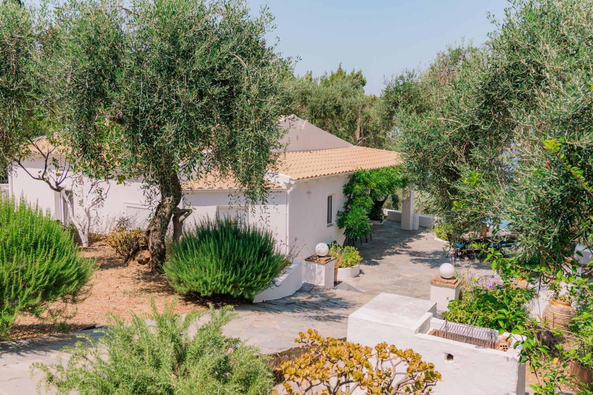 Vakantiehuis Zoela Corfu